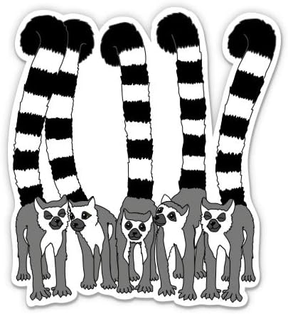 Lemurs - 3 Vinyl Sticker - for Car Laptop I-Pad Phone Helmet Hard Hat - Waterproof Decal