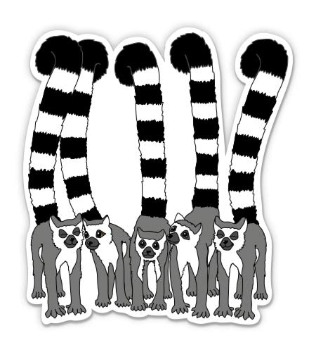 Lemurs - 5