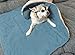 Direkt-Stick.de Hundedecke mit Namen Bestickt, personalisierbare Heimtierdecke für Hunde und Katzen, 4 Farben, weiche Wendedecke, Liegedecke Teddyfell (Sand)