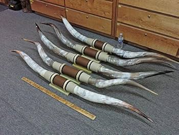 Mounted Horne ロングホーン　壁掛け　角　ウエスタン　カウボーイ＊8 Amazon.com: 5MOONSUN5 Longhorn Steer Head Wall Mounted