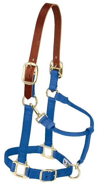 Weaver Leather - Cabestro Ajustable de Piel y Nailon para Caballo, Mediano, Azul