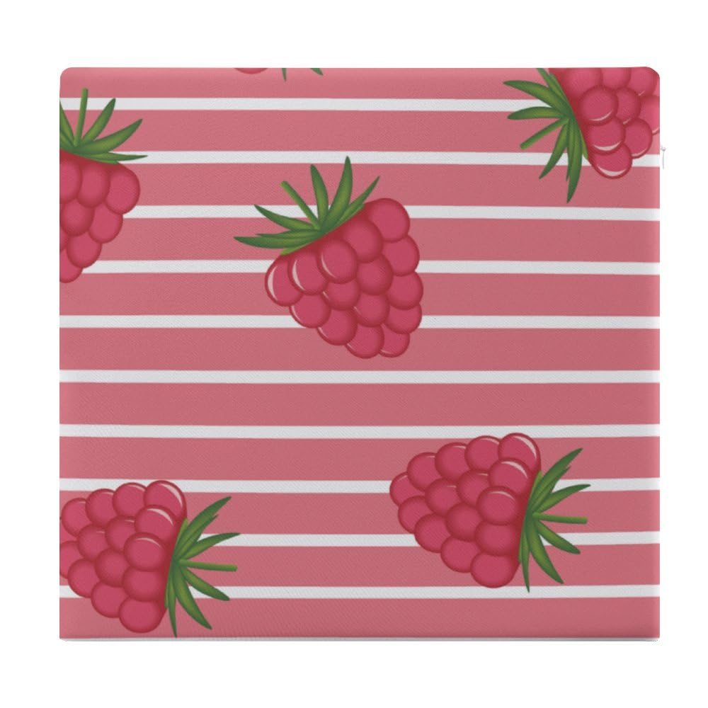 Hixingo Cojines Exterior Jardin Cojines Sillas Espuma de Memoria Jardin Cómodos y Estampado de Frutas Cojines para Sillas, Cojin Silla Oficina Cubierta Extraíble (35x38cm,Frambuesa)