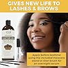 Viva Naturals Organic Castor Oil, 16 fl oz - Cold Pressed Castor Oil for Skin, Hair and Lashes - For Thicker and Soft Feeling & Looking Hair - Certified Organic & Non-GMO - Includes Beauty Kit #3