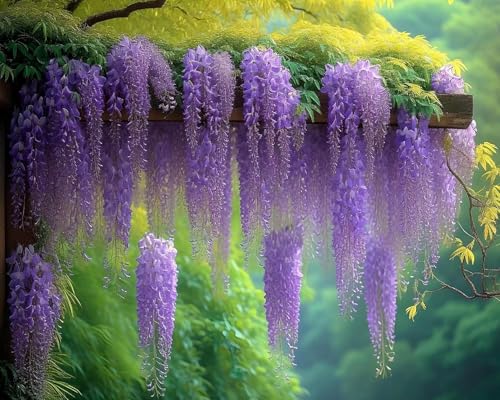 Diamond painting fleurs violettes pour sublimer la décoration murale de votre salon