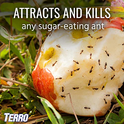 Terro T1812Sr Outdoor Liquid Ant Bait Stakes-2 Pack #TOP6