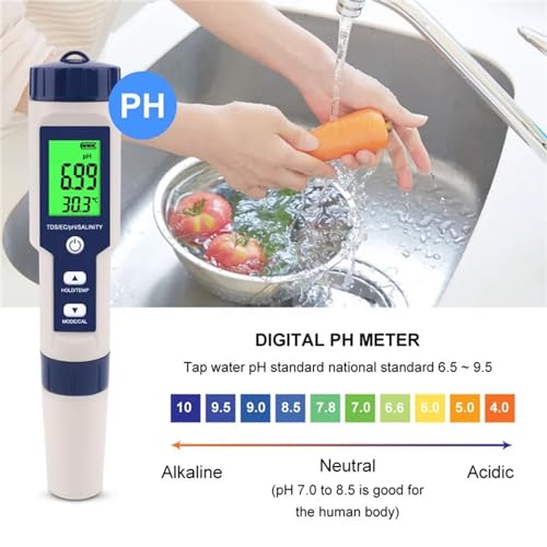 Testeur multifonction 5 en 1 TDS EC PH EDEDE pour eau de spa