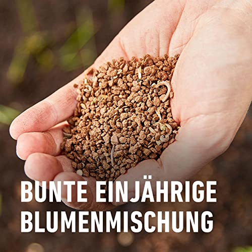 Compo Balkonblumen Samen-Mix für Bienen, 100 g, 15 m²