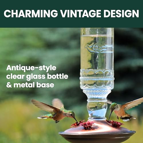 Perky-Pet Antique Glass Bottle Hummingbird Feeder - Outdoor Garden Décor Hummingbird Feeder - 8107-1SR - 10 Fl Oz Nectar Capacity - Durable Humming bird Feeder for Backyards, Porches, Decks, Hooks by Perky-Pet - Image 4