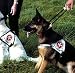 Armored Tech Dog Control Halsband mit integrierter Kurzleine (L - Halsumfang 45-53 cm, Mocca)
