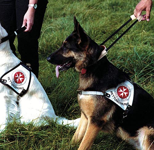 Armored Tech Dog Control Halsband mit integrierter Kurzleine (XS - Halsumfang 31-35 cm, schwarz)