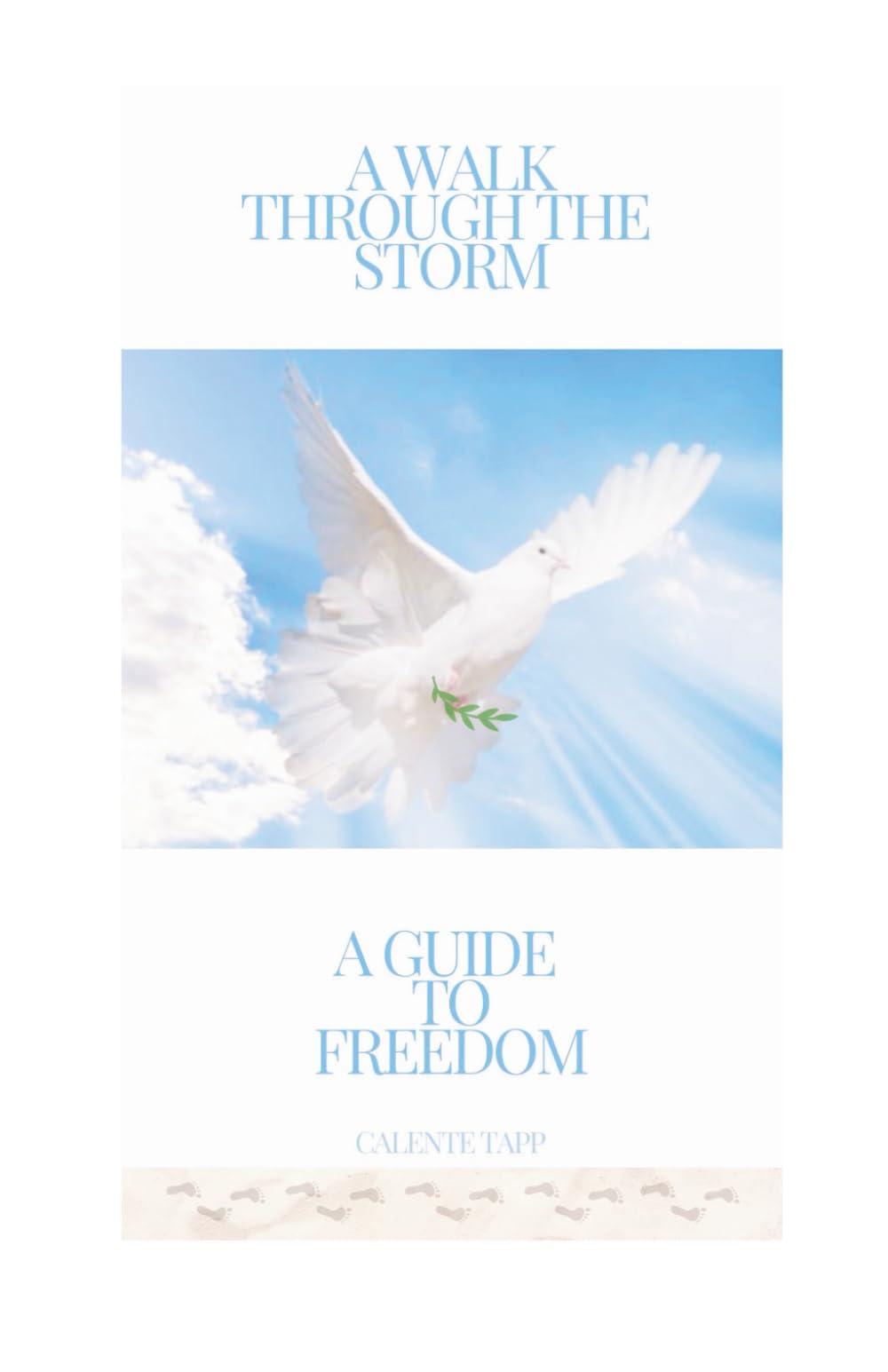 A Walk Through The Storm A Guide To Freedom