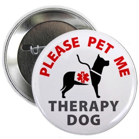 PLEASE PET ME THERAPY DOG Alert 2.25 Pinback Button Badge