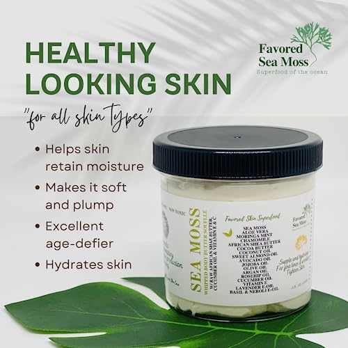 Favored Sea Moss Whipped Body Butter Sea Moss Body Butter Body Moisturizer For Dry Skin Moisturizing Body Butter Whipped Shea Butter Body Lotion Skin Care Products Vacation Essentials – 6 Oz. #TOP3