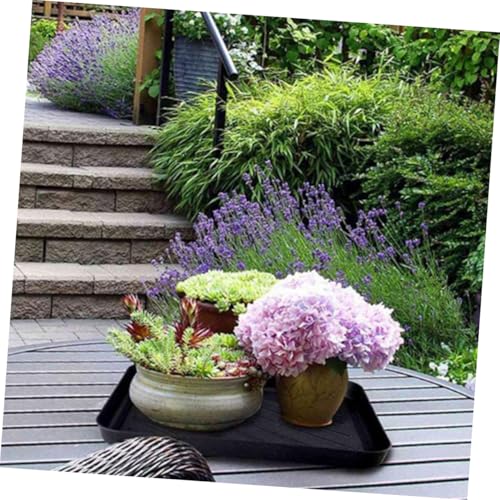 Plateau à chaussures plastique multifonction avec rangement polyvalent pour objets - 6