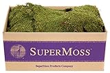 SuperMoss (21588) Sheet Moss Dried, Natural, 5lbs (20-24 sq. ft.)