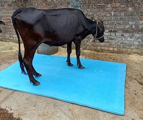 Rubber Cow Mat 8x5 Ft – 30mm Thick Waterproof & Anti-Slip Mat for Cows, Horses, Buffalo – Heavy-Duty BPA-Free Feeding Floor Mat