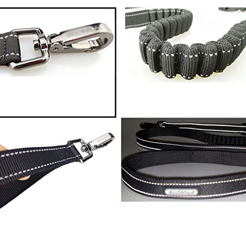 Reflective dog leash with chrome buckle and adjustable strap