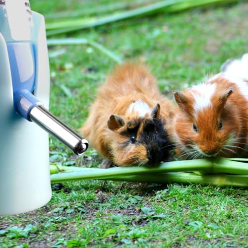 Lotsdonxia Blue Hamster Water Bottle – Stainless Steel Automatic Pet Feeder & Dispenser for Small Animals Guinea Pigs, Rabbits, Gerbils, Chinchillas (80ml) - Image 5