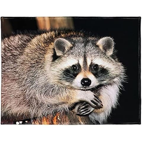 YISUMEI 60" x 80" Blanket Comfort Warmth Soft Plush Throw for Couch Cute Raccoon Sitting on a Tree Cover