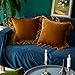Glory Season Housse de coussin en velours Housse de coussin carrée luxueuse et décorative douce pour canapé-lit, ferme, lot de 2, 45x45cm,brun doré