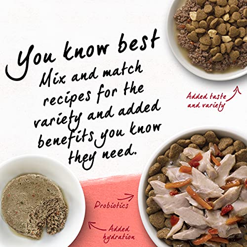 Purina Beyond Natural Limited Ingredient Dry Cat Food, Simply Salmon & Whole Brown Rice Recipe - 6 Lb. Bag #TOP6