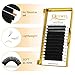 QUEWEL Volume Lash Extensions, 0.03 0.05 0.07 C CC D DD Curl Easy Fan Lashes Mix 8-20mm Self Fanning Lash Extensions Blooming Volume Eyelash Extensions(0.07D Mix8-15)