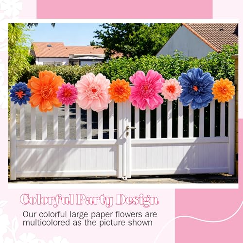 Image of TaoBary Large Colorful Tissue Paper Flowers Giant Fiesta Paper Pom Poms Classroom Wall Decor Mexican Birthday Party Decorations Wedding Backdrop(20 inch and 10 inch,Light Color,12 Pcs)
