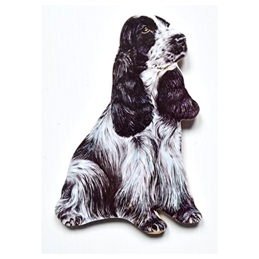 Engelsk Cocker Spaniel-väggplakat – P33P