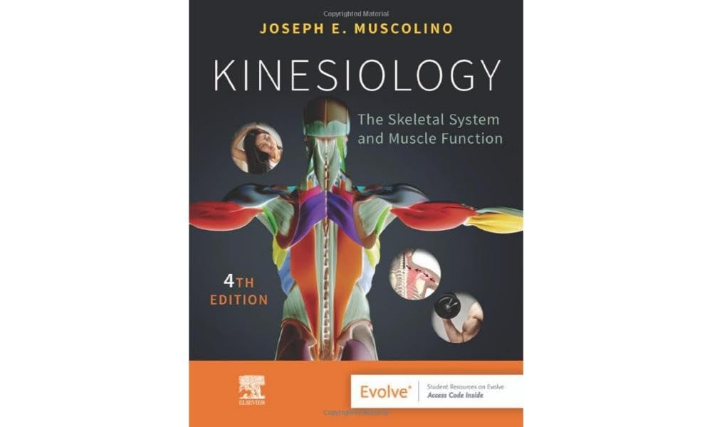Kinesiology The Skeletal System and Muscle Function Amazon.co.uk