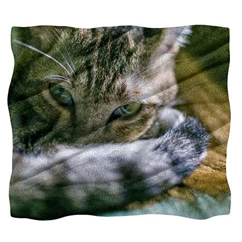 Couverture en peluche chat et couvertures chaudes douces de sieste - 2