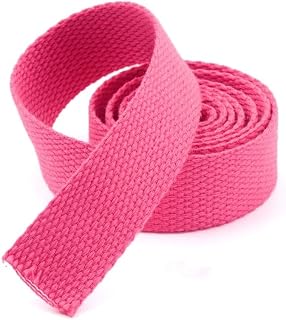 GSJNHY Correa de cincha Nylon Cinta de Lona de 5 Metros y 25mm, Correas for Bolsa, Correas de Nailon, Mochila, flejes, Bolsa de Costura, Accesorios for cinturón Correa de Cincha (Color : Rose Red)