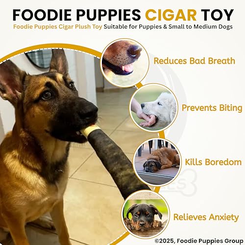 Image of Foodie Puppies Interactive Dog Plush Toy - (Cigar Design, 24cm) for Dogs & Puppies | Non-Toxic, Stuffed, Grinding Teeth, Playful, Soft, Chew Toy for Small to Medium Dogs