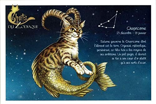Zu[k y Lbg |XgJ[h z Chapricorne € L lR ˂ ͂ nKL DU ZODIAQUE \񐯍 Rr 94170PC