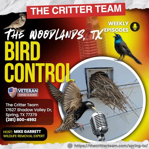The Woodlands, TX Bird Control