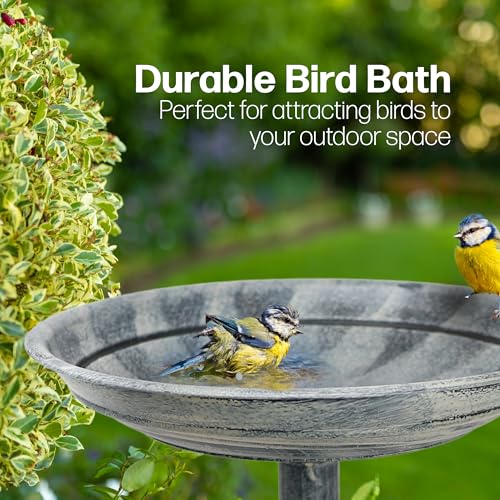 DIVCHI Bird Bath for Garden Freestanding Birdbaths Wild Birds Baths Feeder Bowl Pedestal Birdbath for Outdoors Patio Yard & Lawn Décor (Grey Classic Bird Bath)
