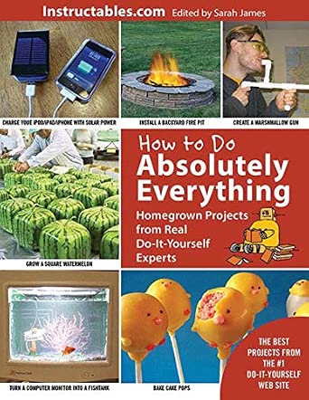 How to Do Absolutely Everything: Homegrown Projects from Real Do-It-Yourself Experts Reissue Edition book cover