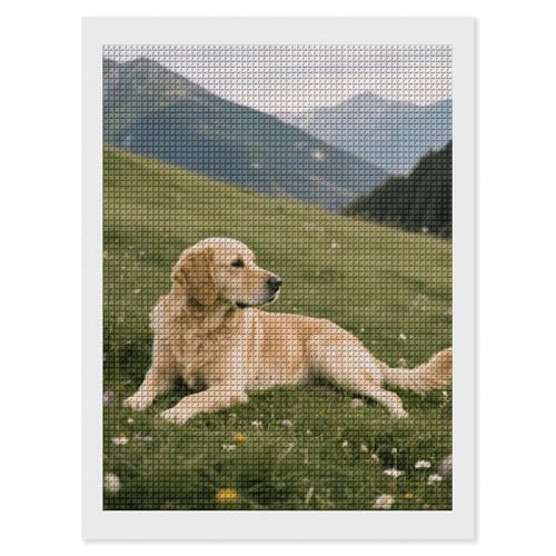 Peinture diamant maccbn anti stress kit complet strass carrés sans espace