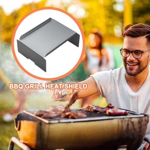 Baffle de barbecue en acier inoxydable plaque de rechange robuste