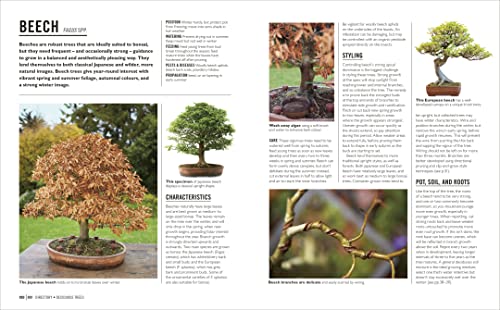 Grow Bonsai: Essential Know-how and Expert Advice for Gardening Success