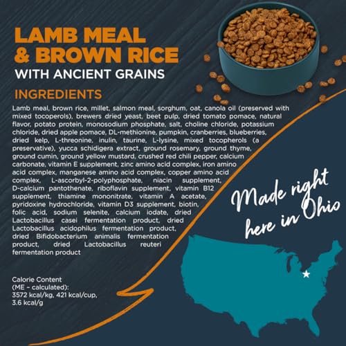 Blackwood Sensitive Skin & Stomach Dry Dog Food, Lamb Meal & Brown Rice with Ancient Grains, 10 Pound Bag with Prebiotics & Probiotics to Promote Gut Health - Thumbnail 2