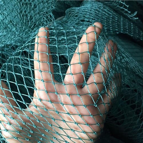 Rete da giardino resistente per polli e piante, 6 x 10 m, resistente, 1,5 x 1,5 cm, rete di protezione dagli uccelli