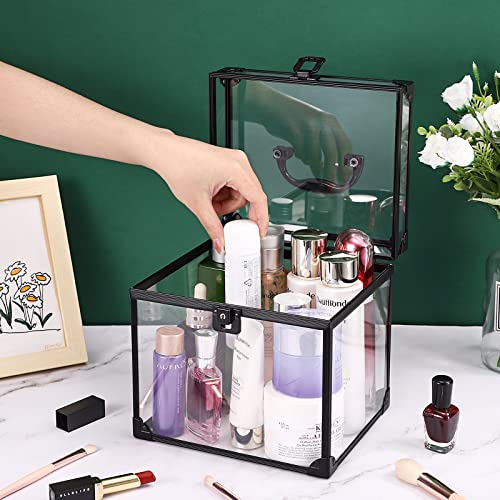 Noverlife Portable Cosmetics & Toiletry Organizer Box, Clear Train Case With Latches & Handle Travel Makeup Tools Storage Organizer, Professional Makeup Tools Box Bathroom Accessories Case For Girls #TOP3