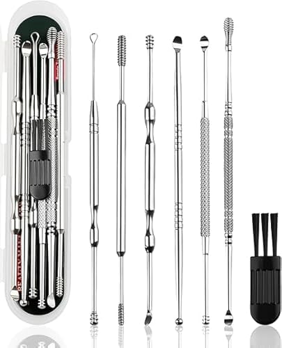 lulir Kit Pulizia Orecchie, Pulisci Orecchie 6 in 1 per Rimozione Cerume, in Acciaio Inossidabile, con Pennello Pulitore e Custodia, per Adulti e Bambini