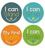 Lucy Darling Shop Monthly Bodysuit Baby Sticker - Baby Boy - Milestone Stickers - 12 Stickers
