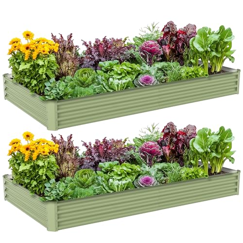 Ayen Guard 2PCS 8x4x1FT Galvanized Raised Garden Bed Kit, Galvanized