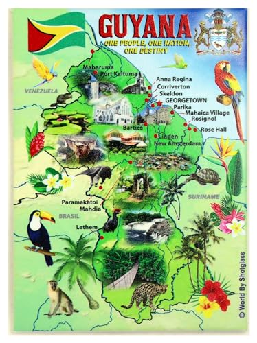 Imán Decorativo Souvenir Mapa de Guyana 2.5 x 3.5 in miniatura 1