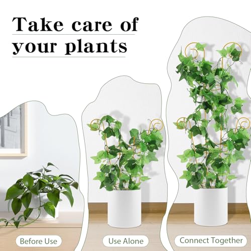 Image of ZOUTOG Trellis for Climbing Plants Indoor 4 Pack 30 Inch,Rustproof Metal Garden Trellis for Potted Plants,Houseplant Support Indoor Outdoor for Ivy Pothos Monstera Hoya Flower Vines(Golden Round)