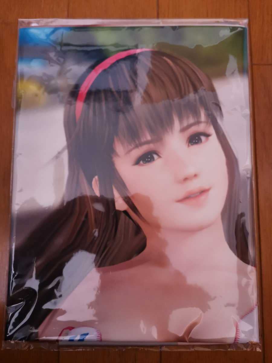 デッドオアアライブ　XTREME3 店頭用B2ポスター Amazon.co.jp: DEAD OR ALIVE Xtreme3 Scarlet楽天特典 ヒトミ B2布