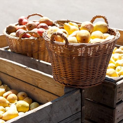 Schladerer Williams-Christ Birnenbrand, edler Obstbrand aus dem Schwarzwald, mild und fruchtig dank sonnengereifter Birnen aus der Region Obstbrände (1 x 350 ml)