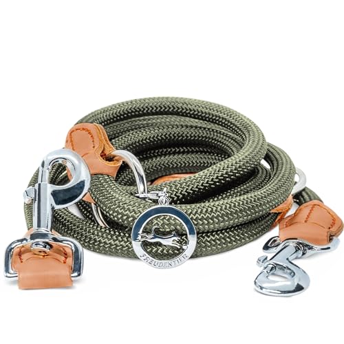 FREUDENTIER Hundeleine 2m - Führleine verstellbar - Robustes Nylon abgerundet mit stilvollen braunen Lederelementen - Leine Hund für mittelgroße & große Hunde (waldgrün)
